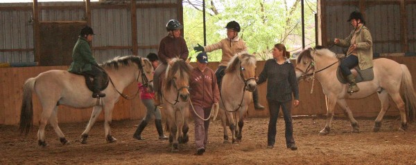 Heilpädagogisches Reiten